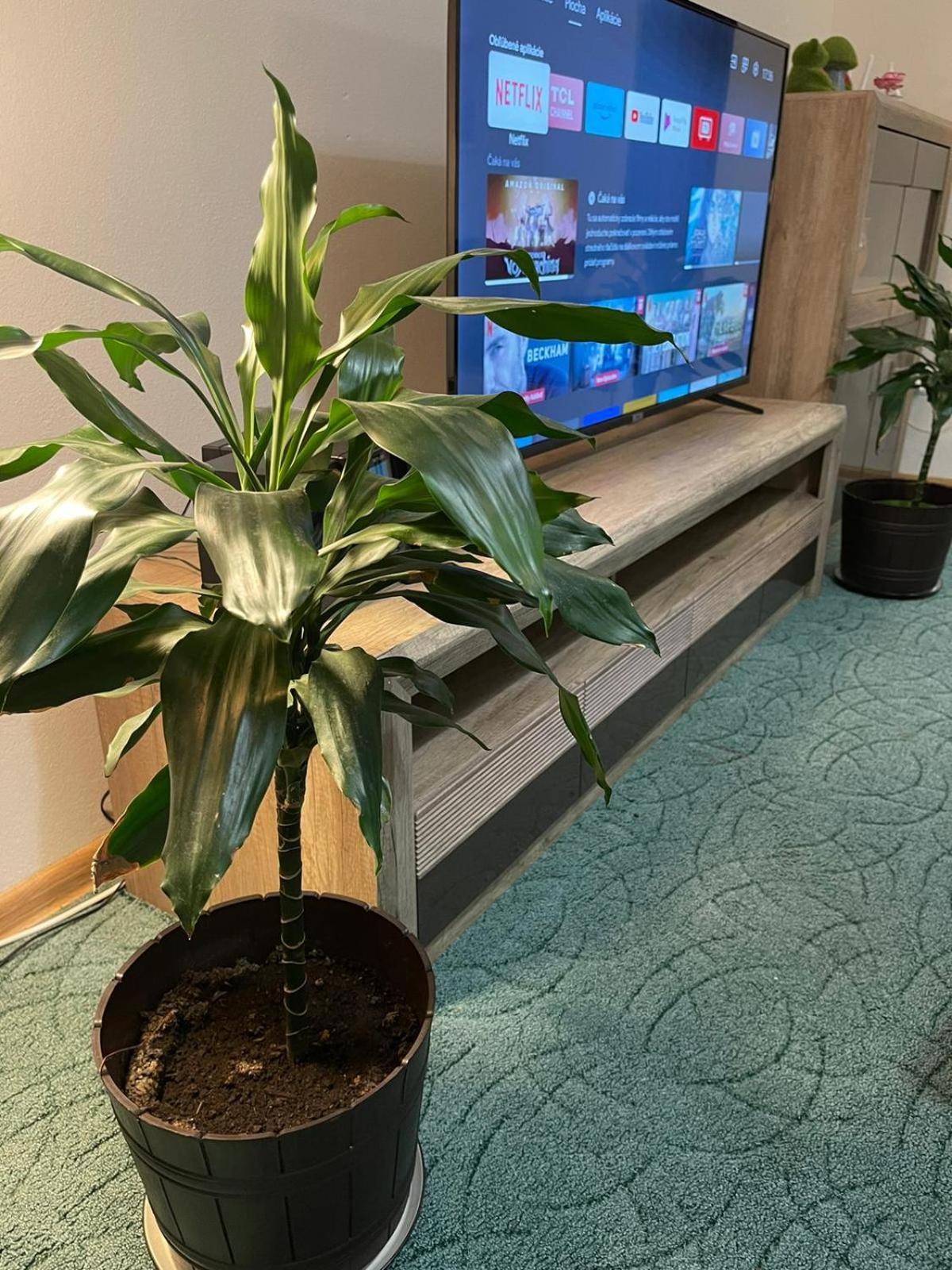 Velky Apartman 布拉迪斯拉发 外观 照片